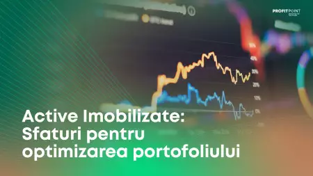 Active Imobilizate: Sfaturi pentru optimizarea portofoliului